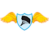 Skydivelongisland