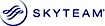 Star Alliance's Competitor - SkyTeam logo