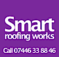 Smart Roofing Works's logo Smart Roofing Works's Company logo