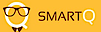SmartQ's company profile
