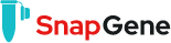 SnapGene