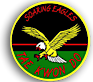 Soaring Egles Tekwondo Academy's logo Soaring Egles Tekwondo Academy's Company logo
