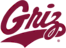 Grizsoftballcamps