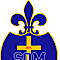 Soldiers Of Mercy