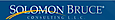 Solomon Bruce Consulting