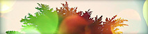 Something Has's logo Something Has's Company logo