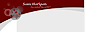 one eleven web design's Competitor - Sonichotspot logo