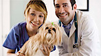 South Shore Integrative Veterinary Services