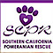 Southern California Pomeranian Rescue
