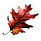 Southern Forest Industries