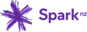 Vital's Competitor - Spark logo