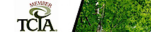 Spauldings Tree Service's logo Spauldings Tree Service's Company logo