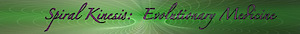 Spiral Kinesis's logo Spiral Kinesis's Company logo