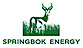 Springbok Energy