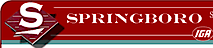 Springboroiga's logo Springboroiga's Company logo