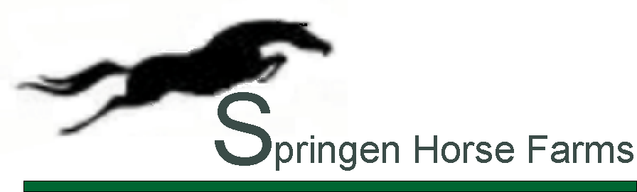 Df Appaloosas's Competitor - Springen Horse Farm logo
