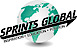 Sprints Global Consultancy's company profile