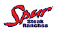 Doppio Zero's Competitor - Spur logo