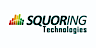 Squoring Technologies's company profile