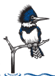 Stjohnsriverkeeper's logo Stjohnsriverkeeper's Company logo