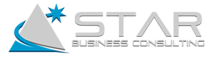 Star Business Consulting