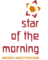 Desert Blossom Preschool's Competitor - Star Of The Morning logo
