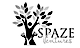 Startup Spaze