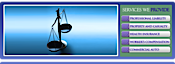 Stay Liquid Insurance Services