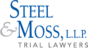 Hymel, Davis & Petersen's Competitor - Steel & Moss logo