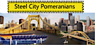 Steel City Pomeranians's logo Steel City Pomeranians's Company logo