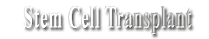 Stem Cell Transplant's logo Stem Cell Transplant's Company logo