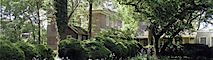 Stenton Museum's logo Stenton Museum's Company logo