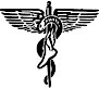 Stephen Musser Dpm's logo Stephen Musser Dpm's Company logo
