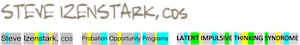 Steve Izenstark And Probation Opportunity Programs's logo Steve Izenstark And Probation Opportunity Programs's Company logo
