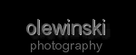 Steve Olewinski's logo Steve Olewinski's Company logo