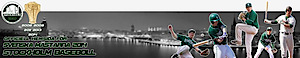 Stockholm Baseboll's logo Stockholm Baseboll's Company logo