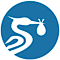 Storx 