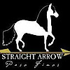 Straight Arrow Paso Finos's logo Straight Arrow Paso Finos's Company logo