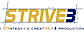 STRIVE3