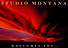 Missoula Art Museum's Competitor - Studio Montana logo