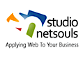 Studio Netsouls's logo Studio Netsouls's Company logo
