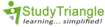 StudyTriangle's company profile