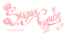 Thebosco's Competitor - Sugarcube Photobooths logo