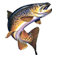 Sulphurous Lake Resort's logo Sulphurous Lake Resort's Company logo