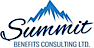 Benefit Consultants Inc's Competitor - Summit Benefits Consulting logo