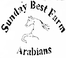Sunday Best Farm