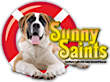Sunny Saints St. Bernard Rescue