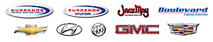 Surgenor Auto Group's logo Surgenor Auto Group's Company logo