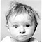 Susan Pollack Photography