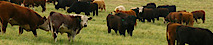 Sustainable Ag Resource